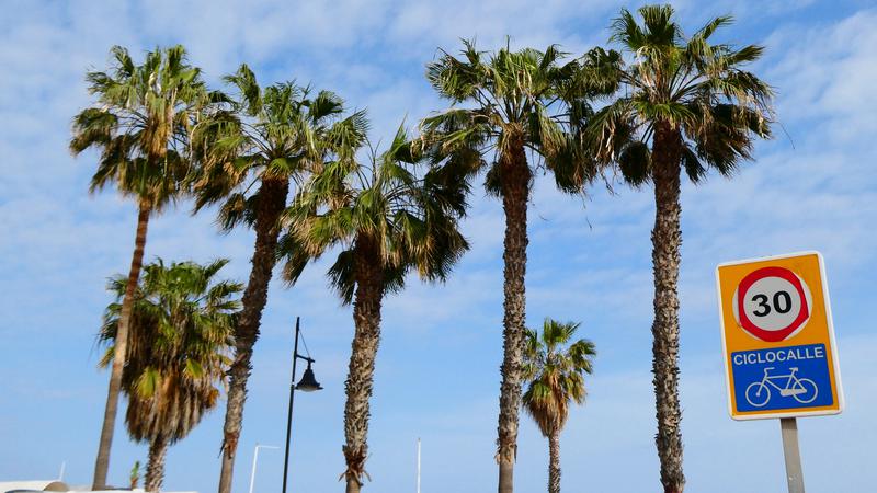Parue dans : Plaza de la Union Europea