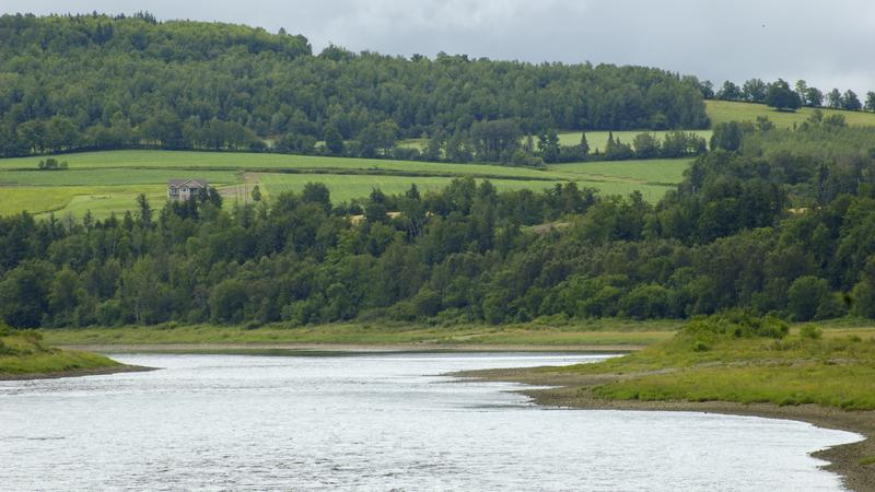 Parue dans : Nouveau Brunswick