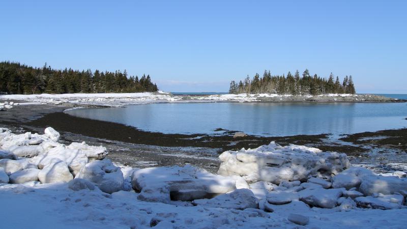 Parue dans : Randonnée au Parc national du Bic