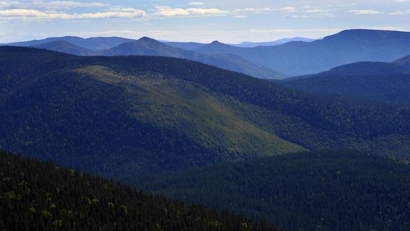 Parue dans : Parc national de la Gaspésie