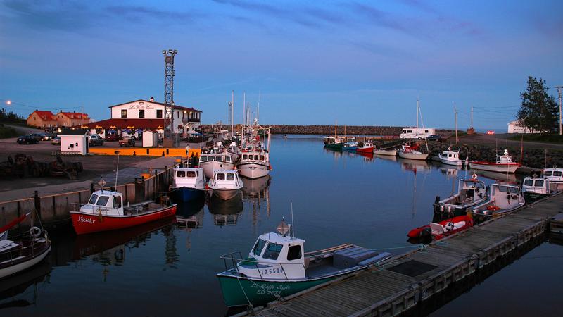Parue dans : Gaspésie