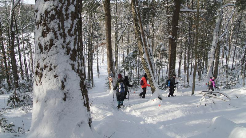 Parue dans : Parc naturel régional de Portneuf