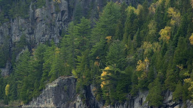Parue dans : Parc national de la Mauricie
