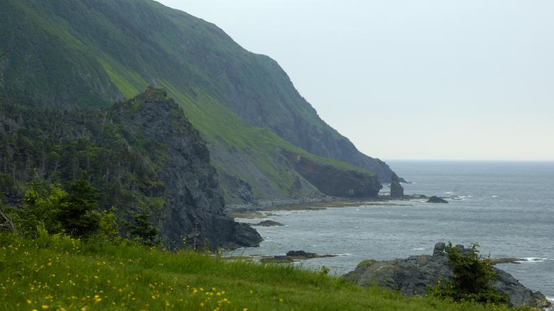 Parue dans : Terre Neuve deuxième voyage