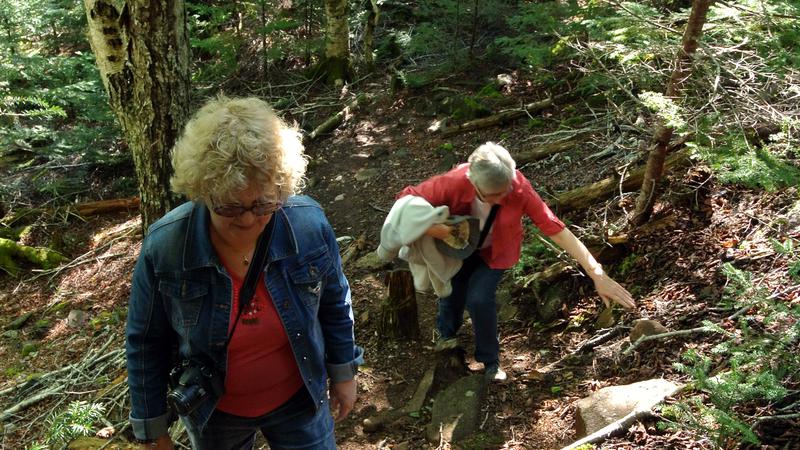 Parue dans : L'île Grand Manan