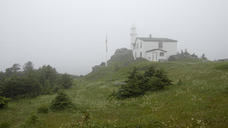 Parue dans : Terre Neuve deuxième voyage