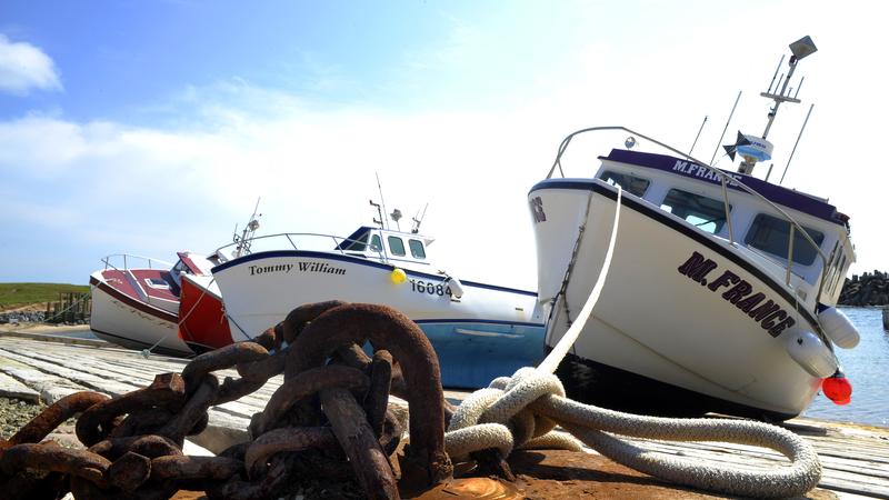 Parue dans : Îles-de-la-Madeleine