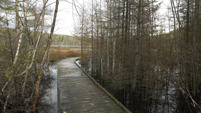 Parue dans : Parc national de la Mauricie