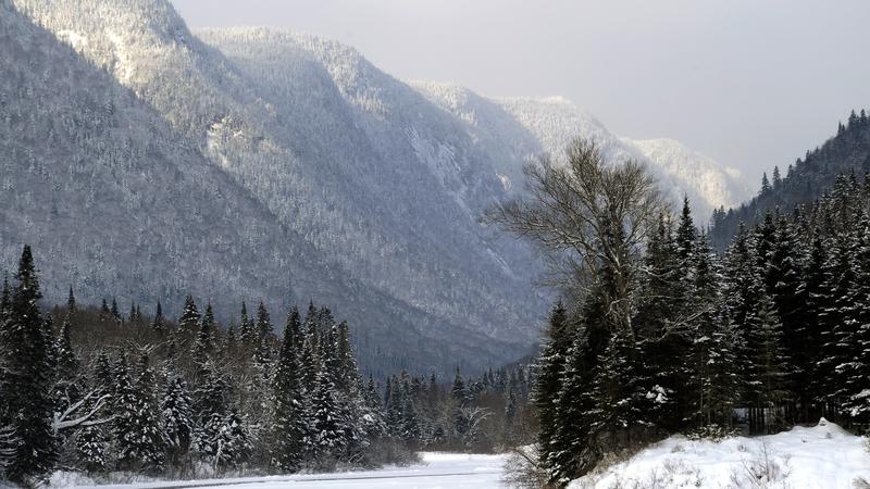 Parue dans : Parc national de la Jacques-Cartier