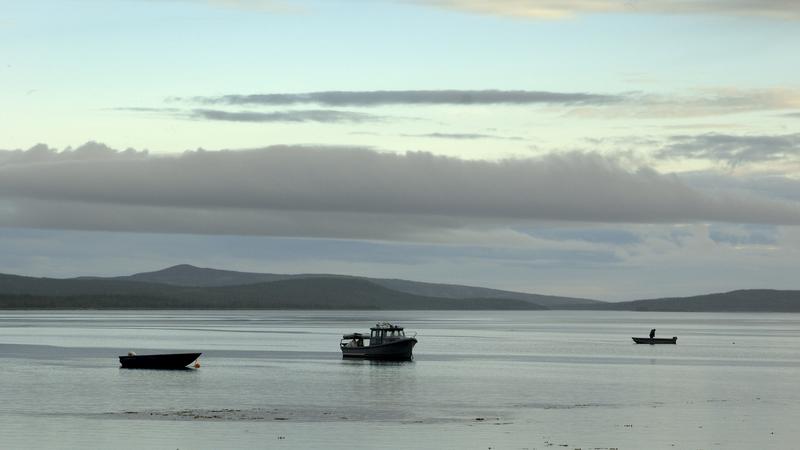 Parue dans : La côte du Labrador