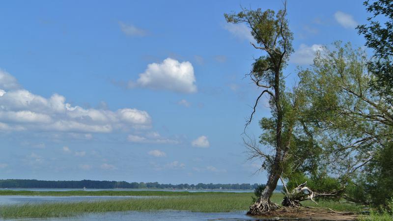 Parue dans : Parc Écomaritime de l'Anse-du-Port