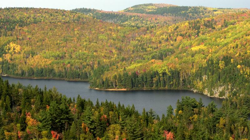 Parue dans : Parc national de la Mauricie