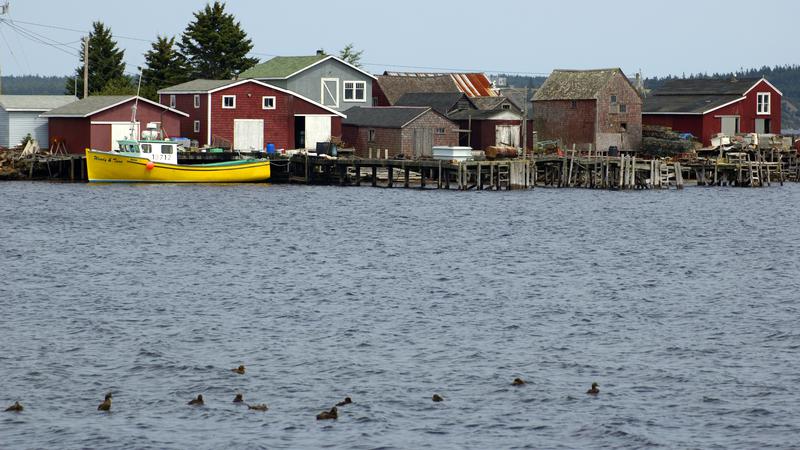 Parue dans : De Digby à Halifax