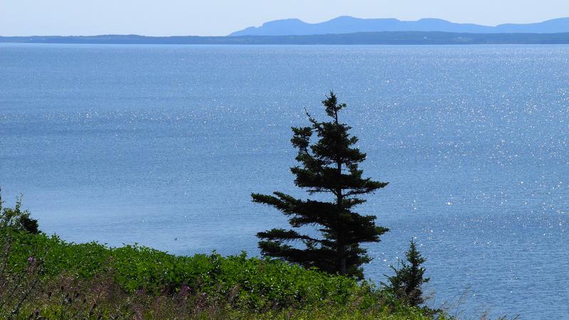 Parue dans : Parc national Forillon