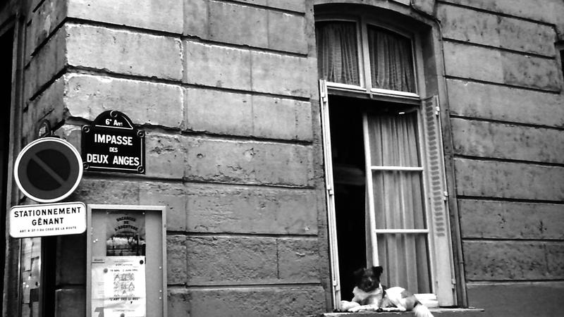 Parue dans : Paris noir et blanc
