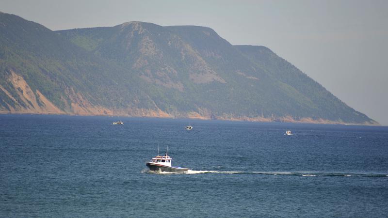 Parue dans : Iles du Cap Breton (Cabot Trail)