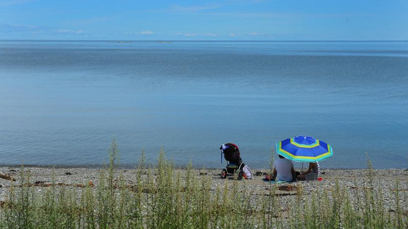 Parue dans : Parc national du Bic