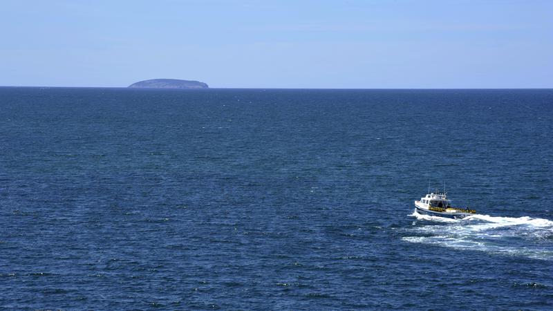 Parue dans : Île du Cap Breton (Chéticamp)