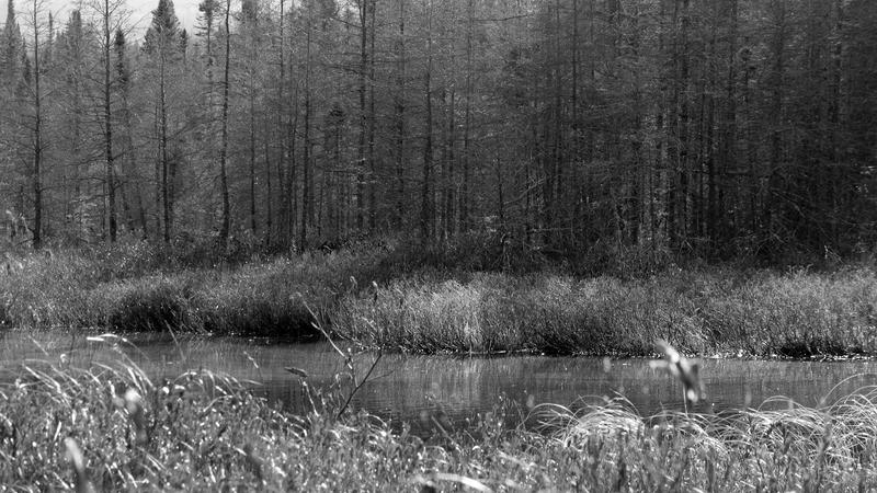 Parue dans : Paysage en noir et blanc