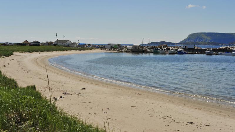 Parue dans : Iles du Cap Breton (Cabot Trail)