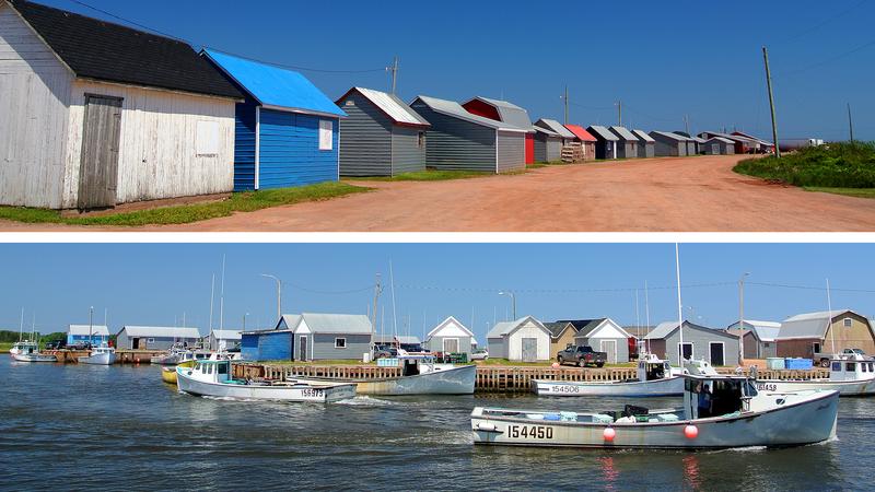 Parue dans : L'Île-du-Prince-Édouard