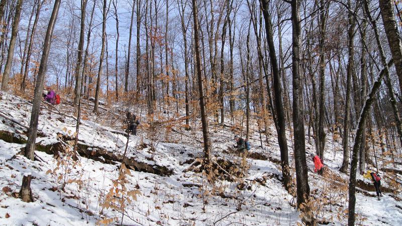 Parue dans : Parc naturel régional de Portneuf