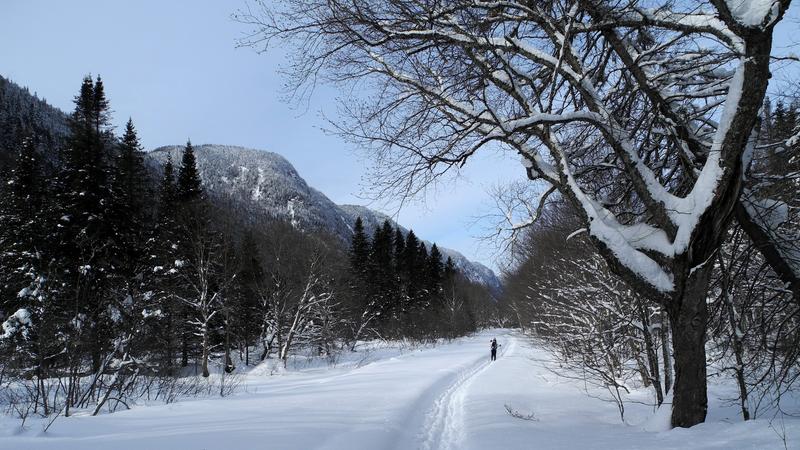 Parue dans : Parc national de la Jacques-Cartier