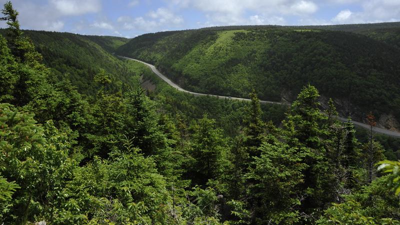 Parue dans : Skyline Trail ( Île du Cap Breton )