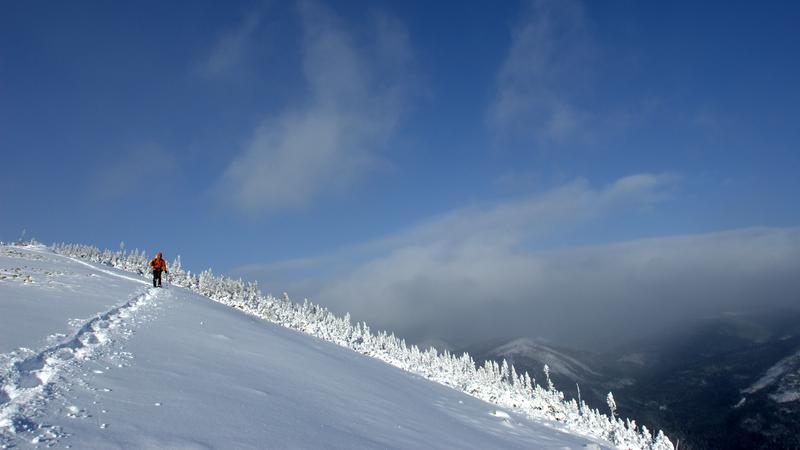 Parue dans : Mont Hog's Back
