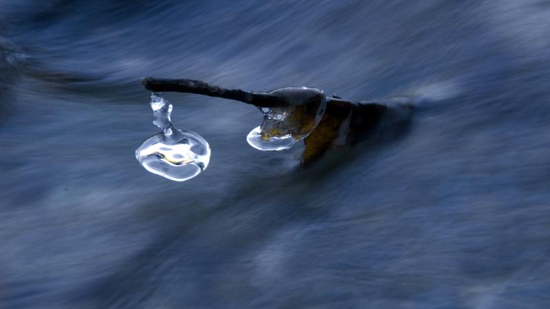 Parue dans : Nature hivernale