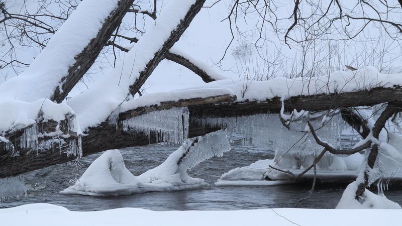 Parue dans : Parc linéaire de la Rivière Saint-Charles