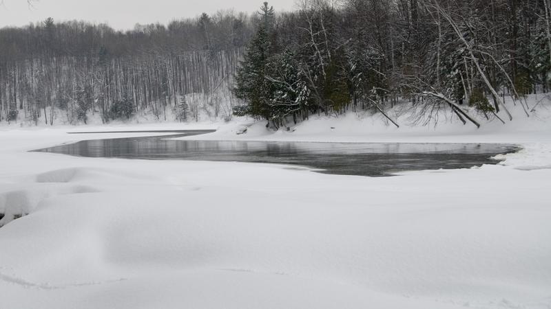 Parue dans : Parc de la rivière Batiscan