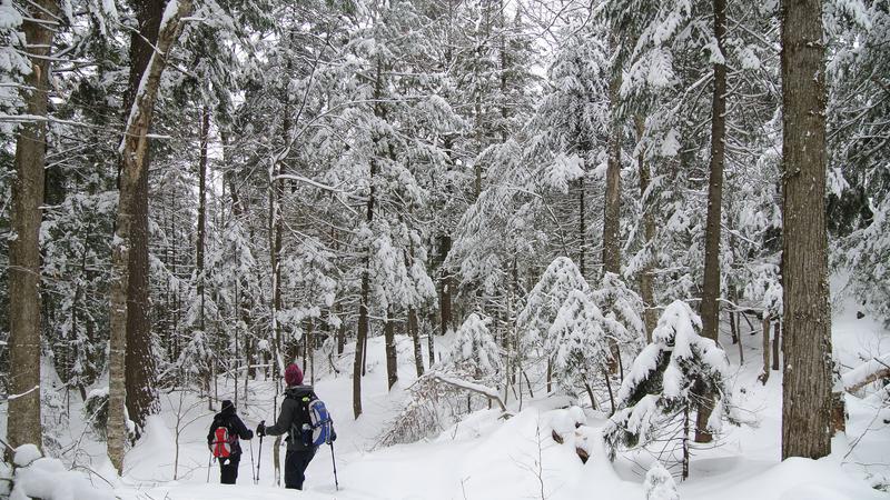 Parue dans : Parc naturel régional de Portneuf