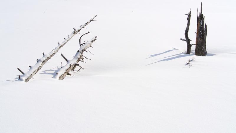 Parue dans : Nature hivernale