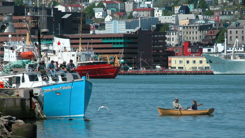 Parue dans : Saint John's