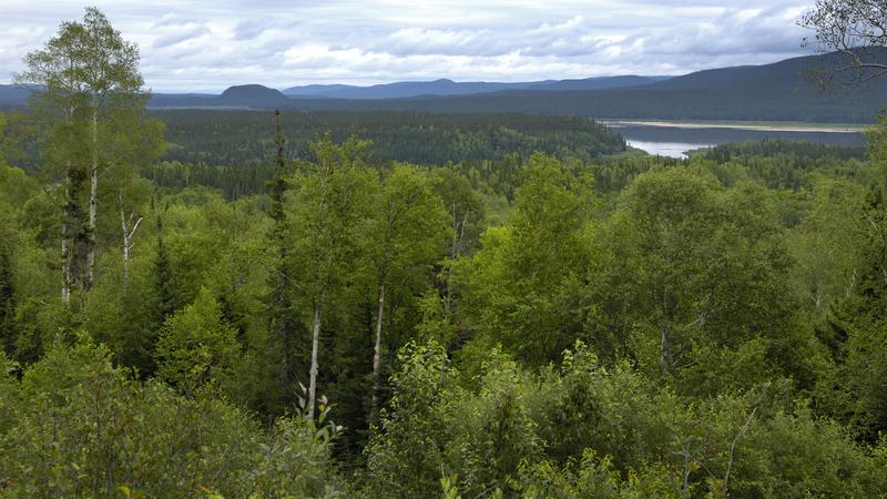 Parue dans : La route Trans-Labrador