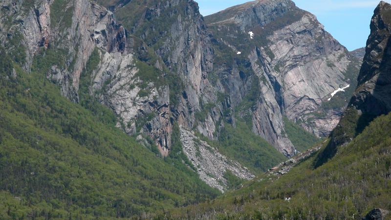 Parue dans : Western Brook Pond