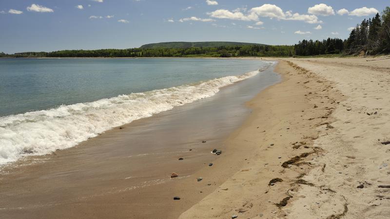 Parue dans : Iles du Cap Breton (Cabot Trail)