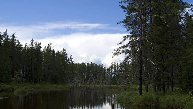 Parue dans : Lac Saint-Jean