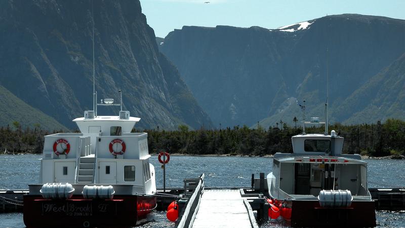Parue dans : Western Brook Pond