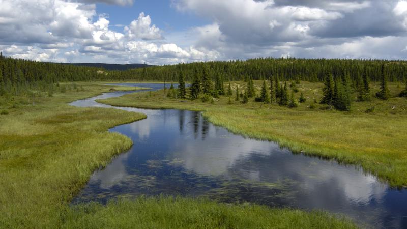 Parue dans : La côte du Labrador