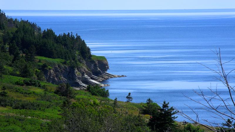 Parue dans : Parc national Forillon