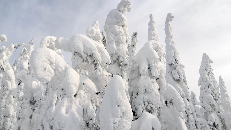 Parue dans : Le fabuleux royaume des Monts-Valin