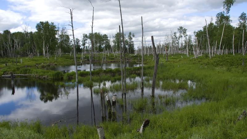 Parue dans : Lac Saint-Jean