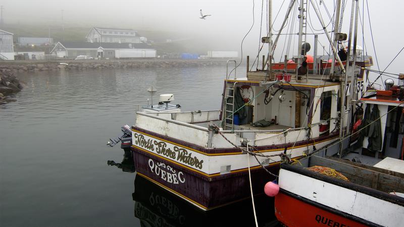 Parue dans : Terre Neuve deuxième voyage