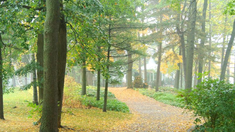 Parue dans : Bois-de-Coulonge