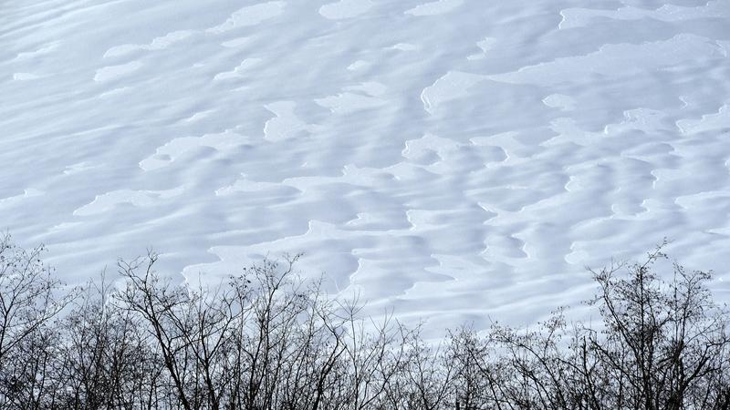 Parue dans : Nature hivernale