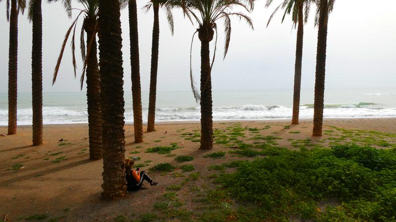 Parue dans : El Morro