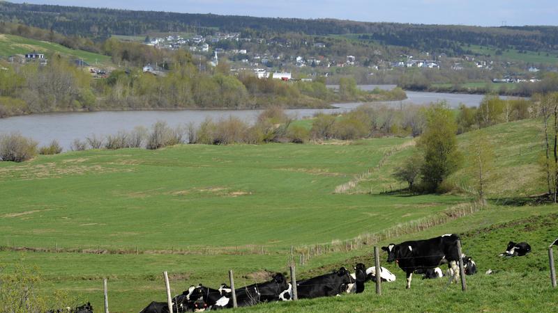 Parue dans : Véloroute de la Chaudière