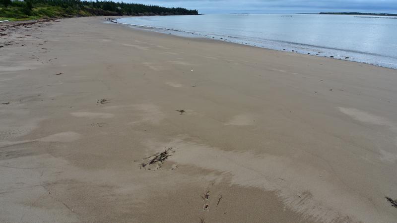 Parue dans : L'île Grand Manan